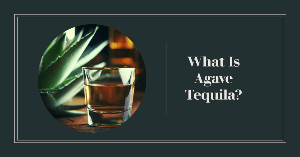 what is agave tequila